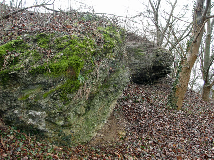 Die verbackenen Neckarschotter an der östlichen Talflanke des Deinenbachs in Sontheim sind als Naturdenkmal geschützt. (Fotos: Februar 2012) 
