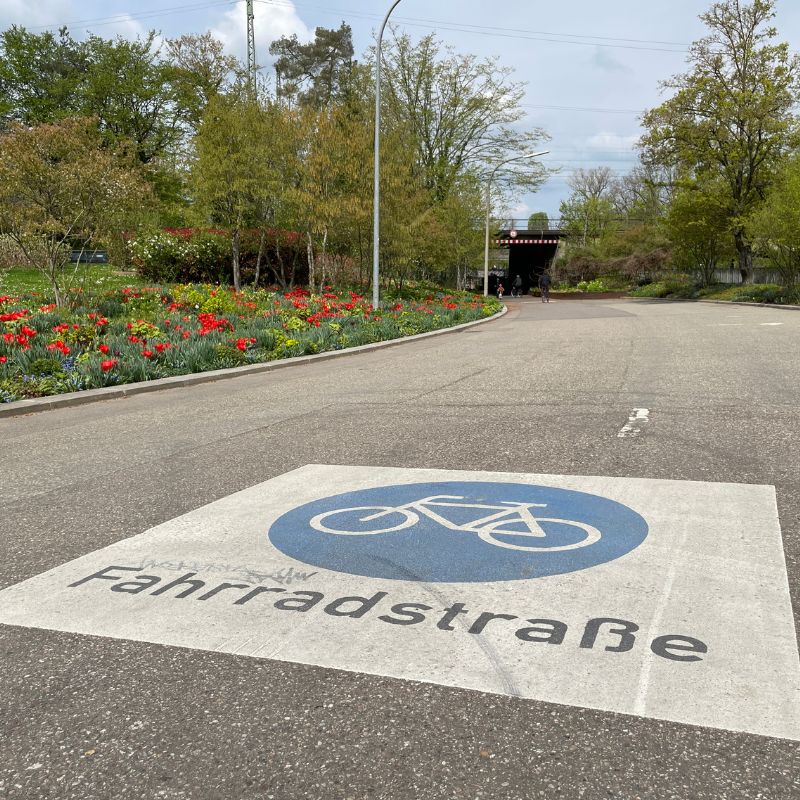 Man sieht den Aufdruck "Fahrradstraße" auf der Straße im Stadtteil Neckarbogen.