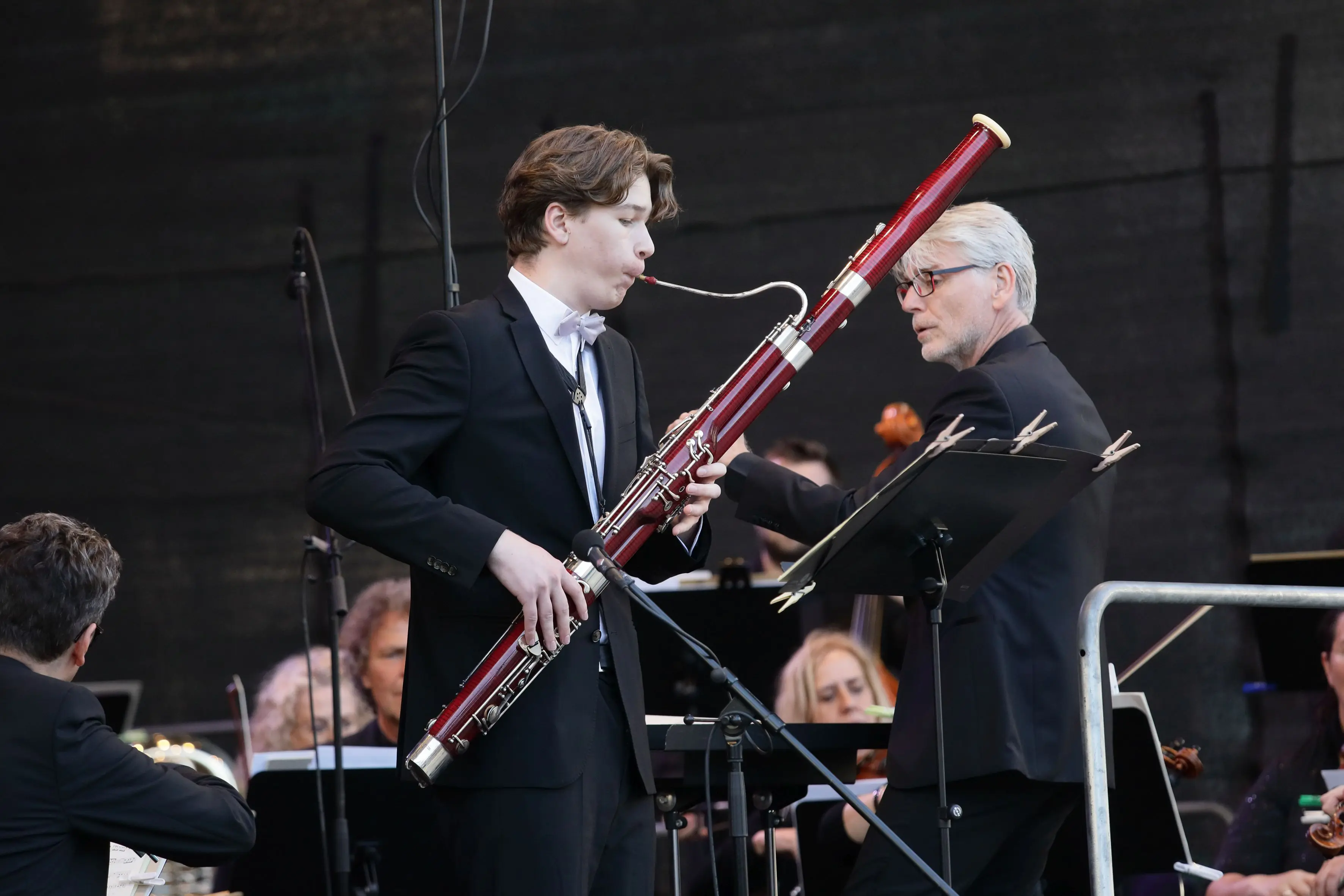 Freitag - Heilbronner Sinfonie Orchester