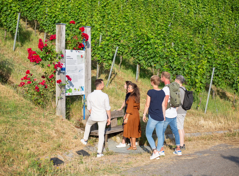 Panorama-Wanderung am Wartberg
