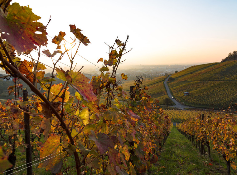 Herbstluft und Glühwein