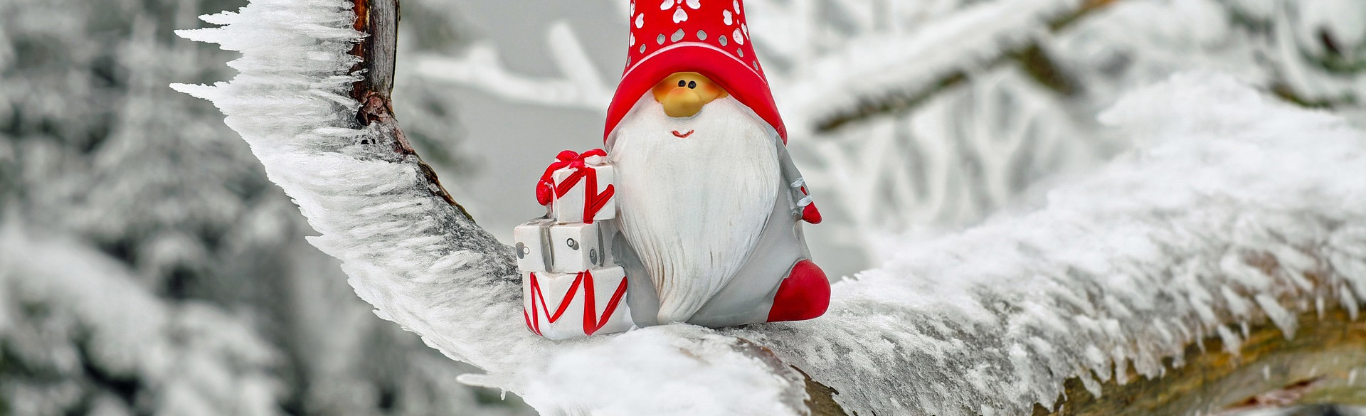 Nikolaus
