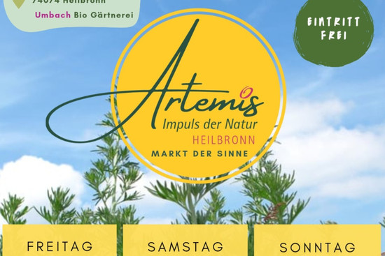 Der Artemis Flyer, © Rebecca Winzig mit Canva