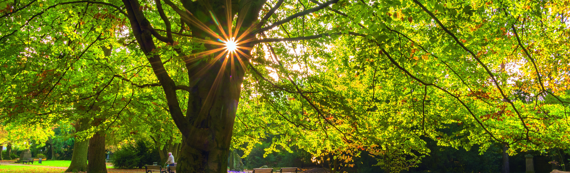 Alter Friedhof