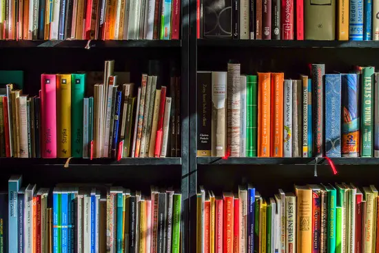 Bücherregal