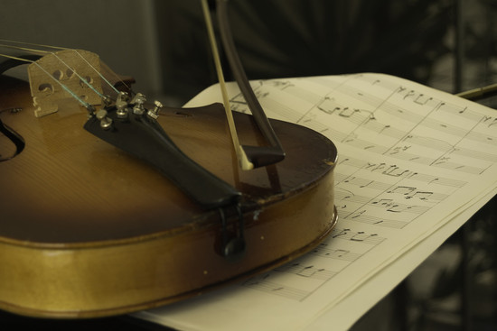 Violine