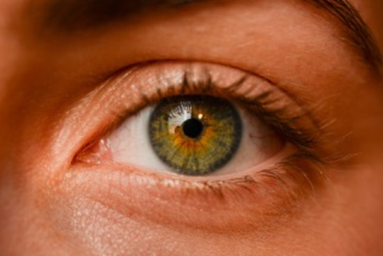 Unser Auge, © Wikimedia