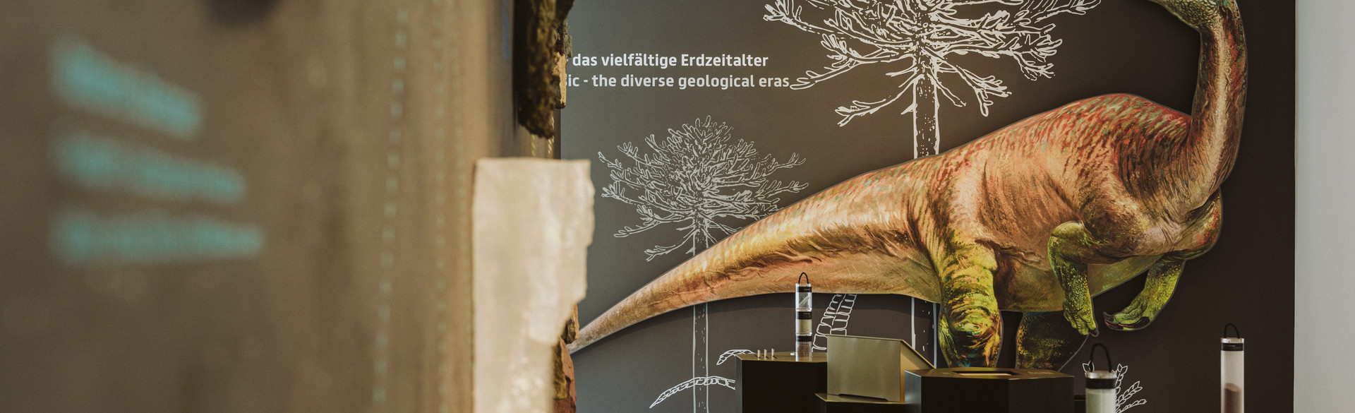 Raumansicht mit Plateosaurus, © Städtische Museen Heilbronn