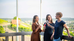 Wartberg-Wengerthäusle_2023_mb_3638_web