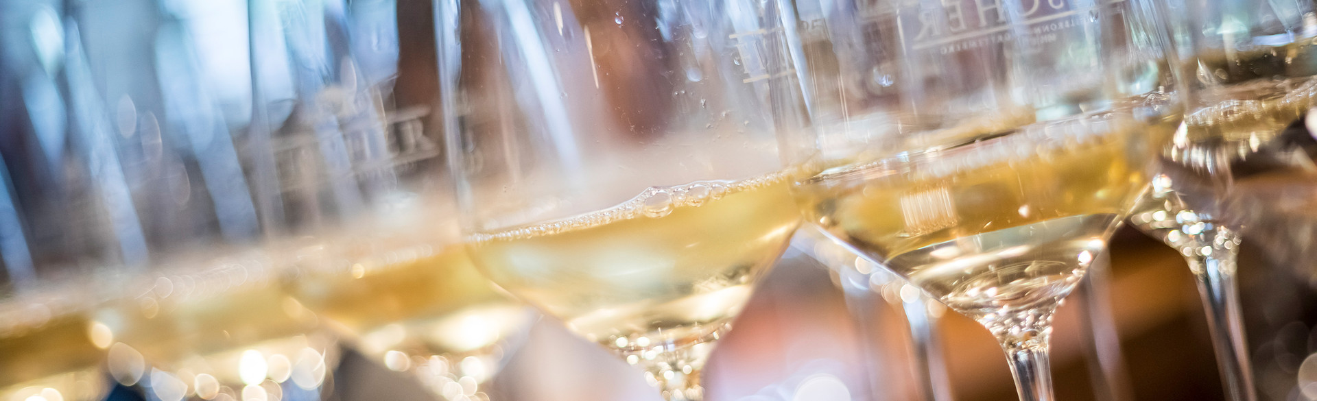 Sondertasting Weine der Loire, © ssc