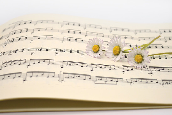 Notenblatt mit Gänseblümchen