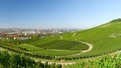 Der Wartberg