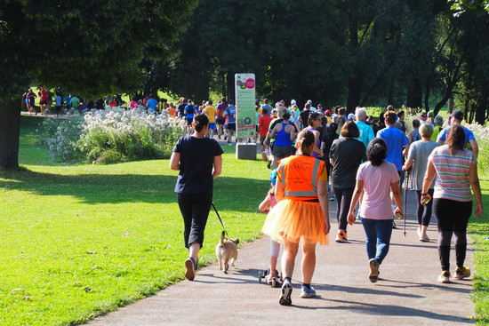 Menschen laufen im Park , © Wertwiesen parkrun