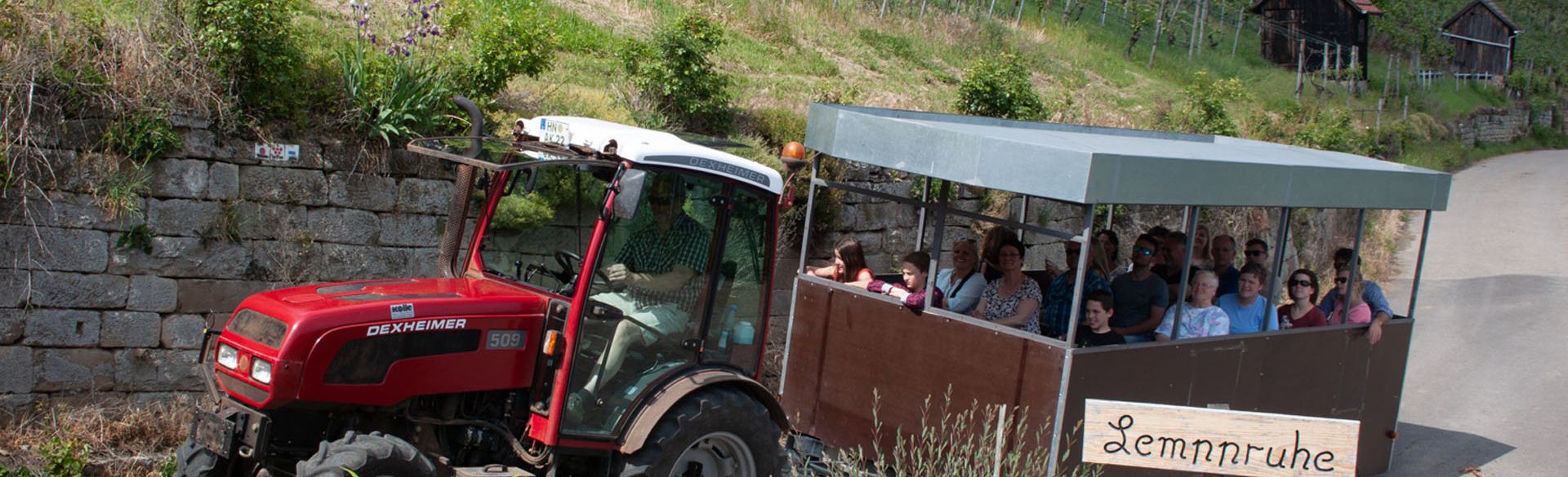 Traktorsafari im Weinberg