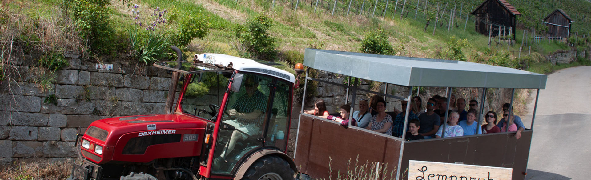 Traktorsafari im Weinberg