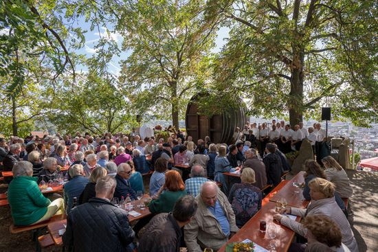 Das Heilbronner Weinlesefest