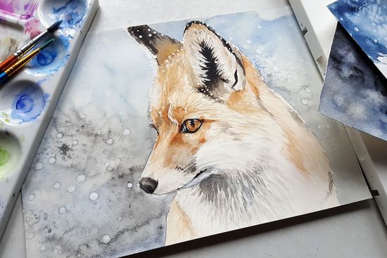 gezeichneter Fuchs