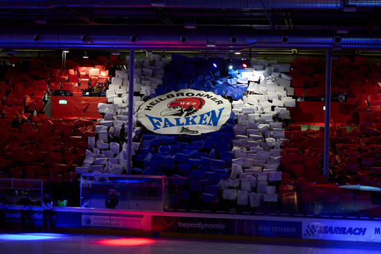 Choreo Falken, © Heilbronner Falken