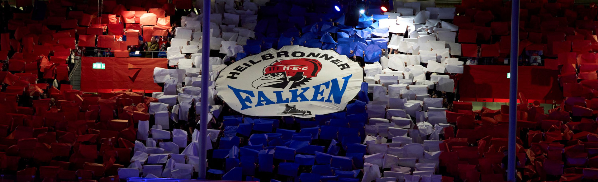 Choreo Falken, © Heilbronner Falken
