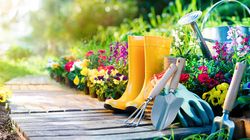 Garten mit Gummistiefeln