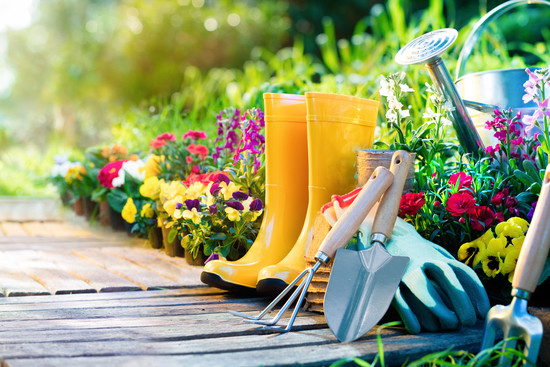 Garten mit Gummistiefeln