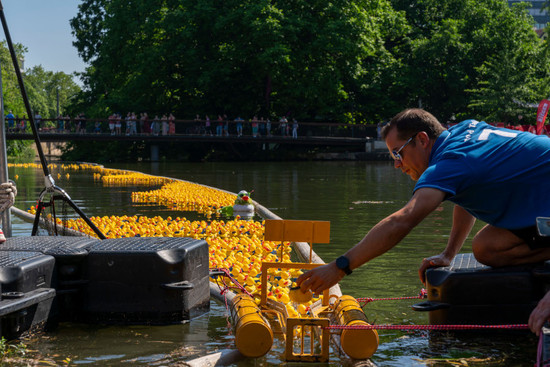 Das Entenrennen beim Heilbronner Lichterfest