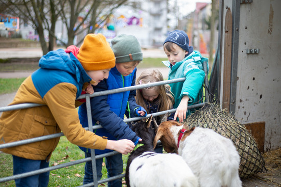 Vier Kinder mit zwei Ziegen am Streichelzoo auf dem Heilbronner Pferdemarkt